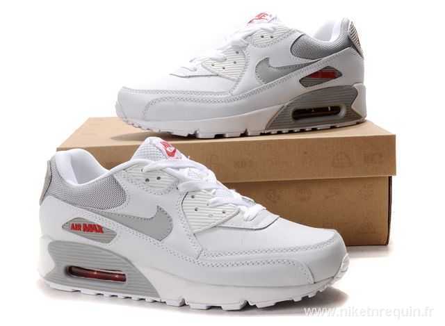 Nike Air Max 90 gris et blanc (1)
